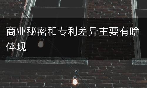 商业秘密和专利差异主要有啥体现