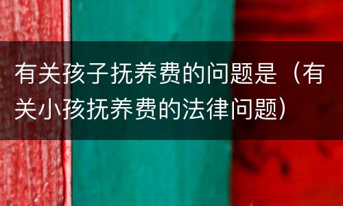 有关孩子抚养费的问题是（有关小孩抚养费的法律问题）