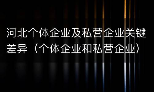 河北个体企业及私营企业关键差异（个体企业和私营企业）