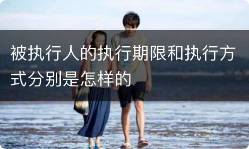 被执行人的执行期限和执行方式分别是怎样的