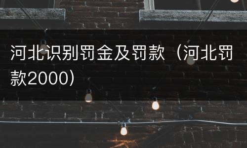 河北识别罚金及罚款（河北罚款2000）