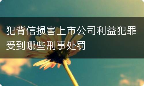 犯背信损害上市公司利益犯罪受到哪些刑事处罚