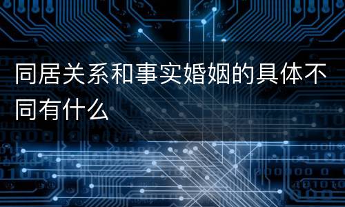 同居关系和事实婚姻的具体不同有什么