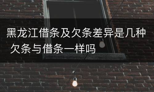 黑龙江借条及欠条差异是几种 欠条与借条一样吗