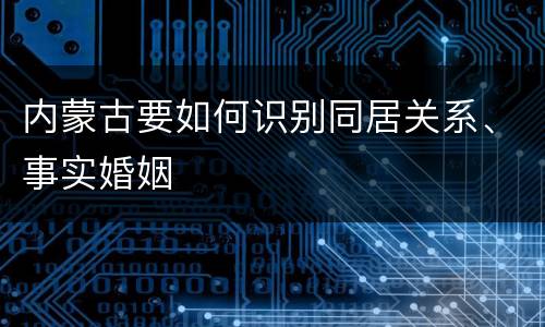 内蒙古要如何识别同居关系、事实婚姻