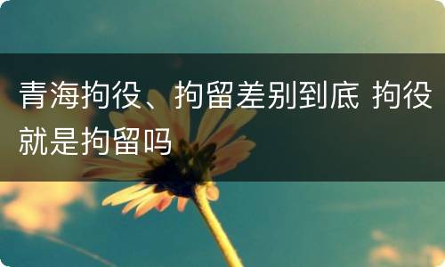 青海拘役、拘留差别到底 拘役就是拘留吗