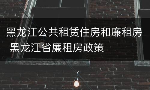 黑龙江公共租赁住房和廉租房 黑龙江省廉租房政策
