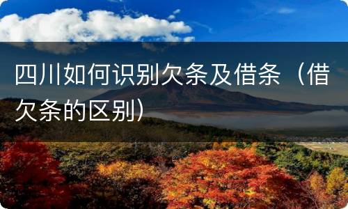 四川如何识别欠条及借条（借欠条的区别）