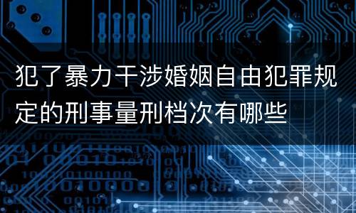 犯了暴力干涉婚姻自由犯罪规定的刑事量刑档次有哪些