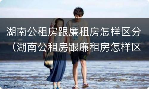 湖南公租房跟廉租房怎样区分（湖南公租房跟廉租房怎样区分的）