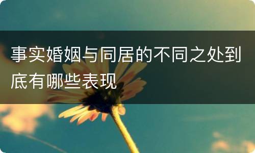 事实婚姻与同居的不同之处到底有哪些表现