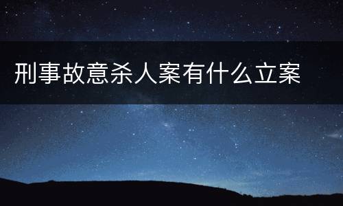 刑事故意杀人案有什么立案