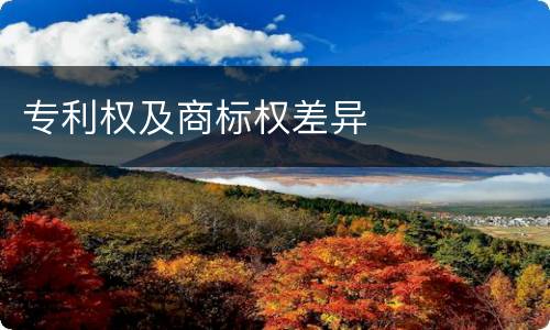 专利权及商标权差异