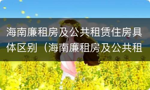 海南廉租房及公共租赁住房具体区别（海南廉租房及公共租赁住房具体区别在哪）