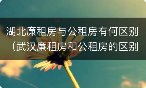 湖北廉租房与公租房有何区别（武汉廉租房和公租房的区别）