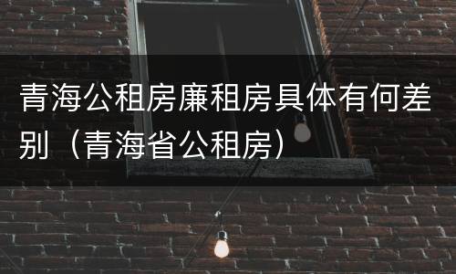 青海公租房廉租房具体有何差别（青海省公租房）