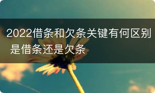 2022借条和欠条关键有何区别 是借条还是欠条