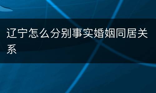 辽宁怎么分别事实婚姻同居关系