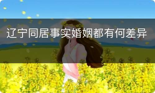 辽宁同居事实婚姻都有何差异