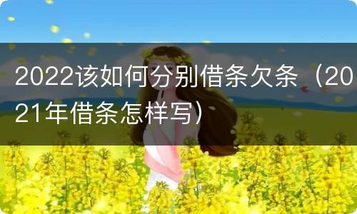 2022该如何分别借条欠条（2021年借条怎样写）