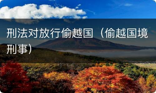 刑法对放行偷越国（偷越国境刑事）