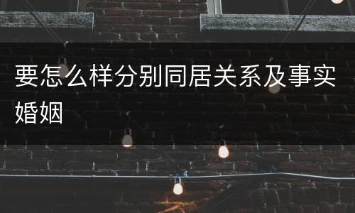 要怎么样分别同居关系及事实婚姻