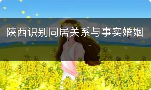 陕西识别同居关系与事实婚姻