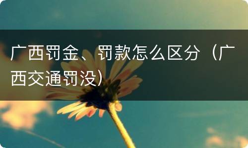广西罚金、罚款怎么区分（广西交通罚没）