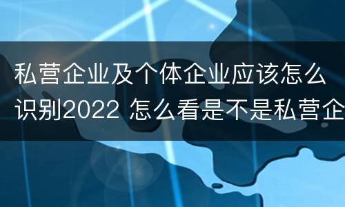私营企业及个体企业应该怎么识别2022 怎么看是不是私营企业