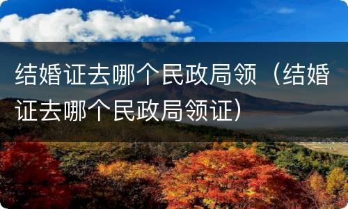 结婚证去哪个民政局领（结婚证去哪个民政局领证）