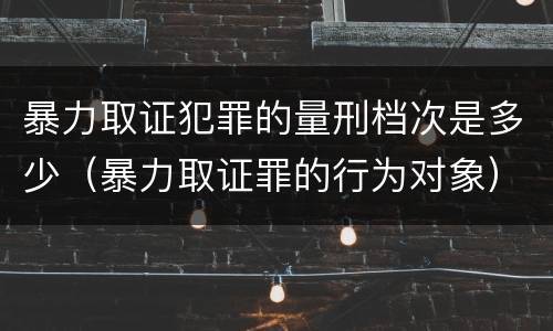 暴力取证犯罪的量刑档次是多少（暴力取证罪的行为对象）