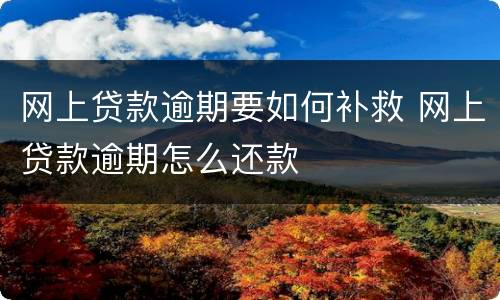 网上贷款逾期要如何补救 网上贷款逾期怎么还款