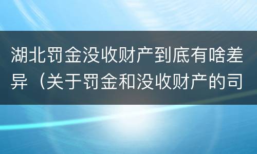 湖北罚金没收财产到底有啥差异（关于罚金和没收财产的司法解释）