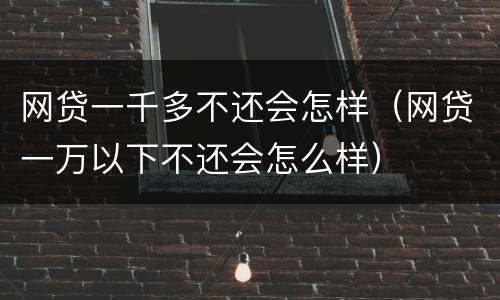 网贷一千多不还会怎样（网贷一万以下不还会怎么样）