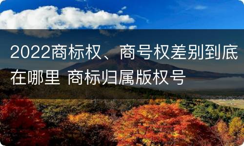 2022商标权、商号权差别到底在哪里 商标归属版权号