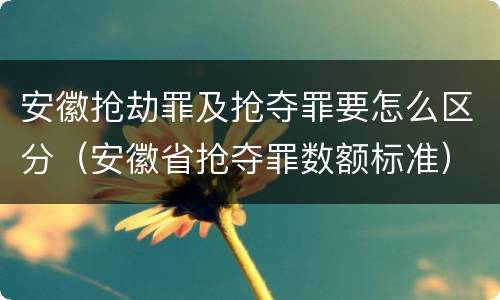 安徽抢劫罪及抢夺罪要怎么区分（安徽省抢夺罪数额标准）