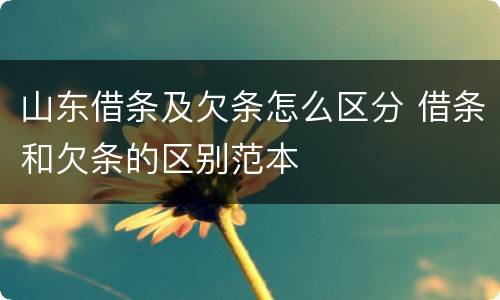 山东借条及欠条怎么区分 借条和欠条的区别范本