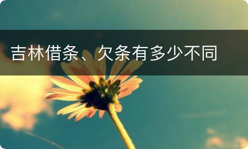 吉林借条、欠条有多少不同