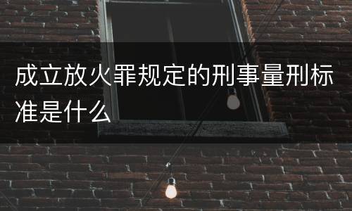 成立放火罪规定的刑事量刑标准是什么