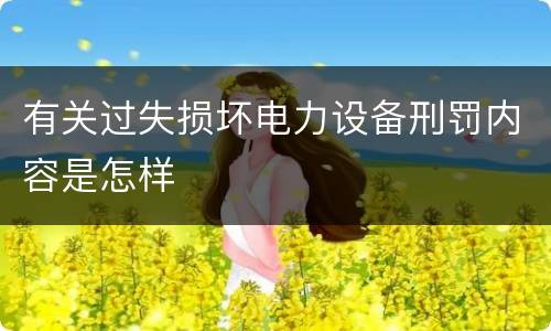有关过失损坏电力设备刑罚内容是怎样