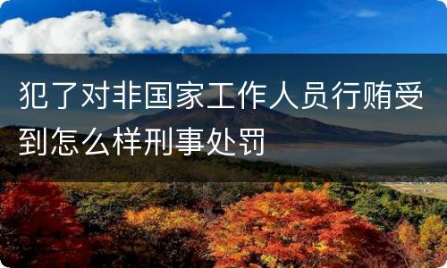 犯了对非国家工作人员行贿受到怎么样刑事处罚