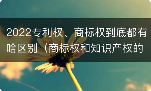 2022专利权、商标权到底都有啥区别（商标权和知识产权的区别）