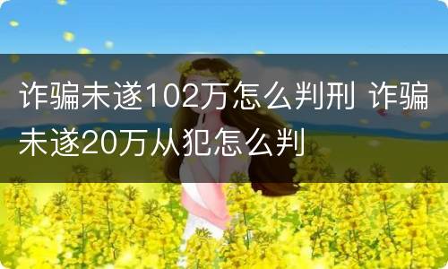 诈骗未遂102万怎么判刑 诈骗未遂20万从犯怎么判