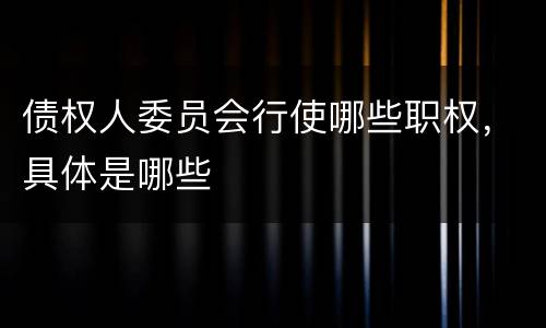 债权人委员会行使哪些职权，具体是哪些