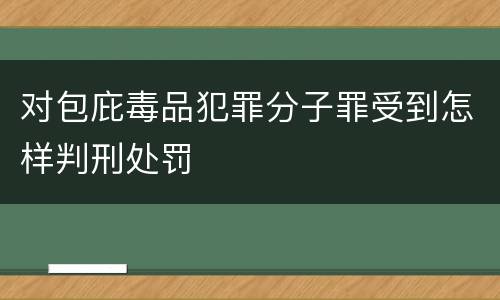对包庇毒品犯罪分子罪受到怎样判刑处罚