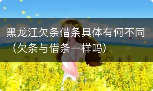 黑龙江欠条借条具体有何不同（欠条与借条一样吗）