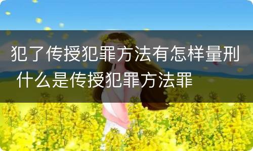 犯了传授犯罪方法有怎样量刑 什么是传授犯罪方法罪