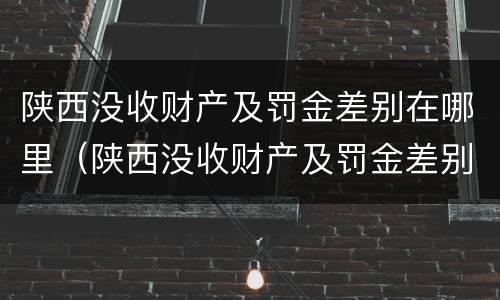 陕西没收财产及罚金差别在哪里（陕西没收财产及罚金差别在哪里可以查到）
