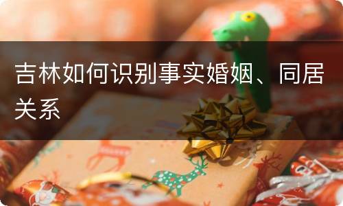 吉林如何识别事实婚姻、同居关系