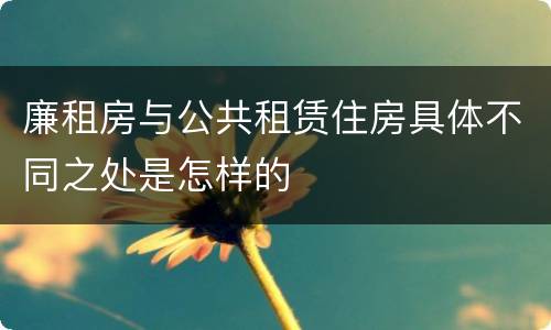 廉租房与公共租赁住房具体不同之处是怎样的